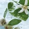Yves Rocher Relaxing Bath and Shower Gel Almond Orange Blossom (200ml)