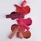 Insight Cosmetics Matte Lipstick - Belgiam Brown (4.2g)