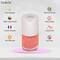 DeBelle Gel Nail Polish - Rose Sorbet (8ml)