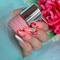 DeBelle Gel Nail Polish - Rose Sorbet (8ml)