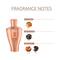 AJMAL CD 99 Mukhallat & Khofooq Concentrated Attar Combo Pack (2 Pcs)
