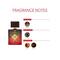 AJMAL Amber Magic Eau De Parfum Spicy Aromatic Perfume And Silver Shade Eau De Parfum Citrus Woody Perfume - (2Pcs)