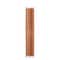 Lakme 9to5 Lip Tattoo Matte Slim Stick - MB17 Totally Taupe (2 g)