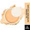Matt Look Oil Control Waterproof Pan Cake - Sun Powder (15 g)