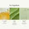 ANILLO Lime Sunday Refresh Hair Conditioner with Protein and Ceramide for Soft & Silky Hair (150 ml)