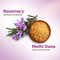Mamaearth Rosemary Anti-Hair Fall Shampoo With Rosemary & Methi Dana (250ml)