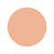 2N1 Desert Beige