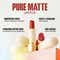 FOCALLURE Pure Matte Lipstick - 202 (3.7 g)