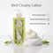 AROMAS ARTESANALES DE ANTIGUA Somerset Lily of the Valley Hand Wash (500 ml)
