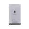 Banderas The Secret Eau de Toilette (100 ml)