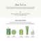 ANILLO Lime Sunday Refresh Hair Essence Hydrating & Lightweight Hair Serum for Shine (50 ml)