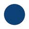 Striking Navy Blue