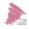 Ruby's Organics OneStick Blurr Lip and Cheek Color Crayon - Lily (1 g)