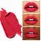 PAC Timeless Matte 12H Longlasting Rich Pigment One Swipe Payoff Smudgeproof - Love Potion (6.5 ml)