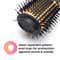 Alan Truman Compact Blow Brush - Gold (1 pc)