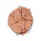 Daily Life Forever52 Academic Bronzer - FAC204 Sunset Heat (21 g)