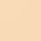 Kryolan Digital Complexion Concealer - Y22