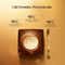 Forest Essentials Soundarya Radiance Cream with 24K Gold SPF 30 PA++ Moisturizer (50 g)