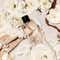 Michael Kors Gorgeous Eau De Parfum (50 ml)