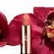 Anastasia Beverly Hills Matte Lipstick - Peony (3 g)