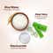 Mamaearth Rice Water Dewy Sunscreen with Rice Water & Niacinamide & Tan Protection SPF 50 PA++++ (50g)