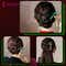 Majestique Elegant Chinese Style Hair Stick for Bun & Juda - Green