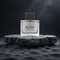 Banderas Seduction In Black Eau de Toilette (100 ml)
