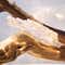 Bvlgari Omnia Crystalline Eau de Parfum (50 ml)