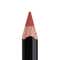 Anastasia Beverly Hills Lip Liner - Raisin (1.49g)