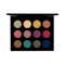 PAC Unforgettable Touch Eyeshadow Palette -12 Colors (24 g)