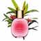 Clarins Fix Make-Up Setting Spray (1 ml)