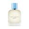 Dolce&Gabbana Light Blue Pour Homme Eau de Toilette (100 ml)
