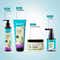 Pilgrim Spanish Rosemary & Biotin Anti-Hairfall Conditioner For Reducing Hair Loss & Breakage (200ml)