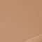 L.A. Girl Tinted Foundation - Caramel (30 ml)