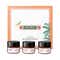Kama Ayurveda Multi Masking Ritual Discovery Set (3 pcs)