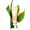 Clarins Gentle Foaming Cleanser Hydrating (125 ml)