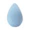 PAC Wonder Blend Sponge (1 pc)