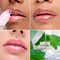 Maybelline New York Lifter Oil In Gel Lip Gloss - Mintini (6.6 ml)