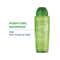 Bioderma Node G Purifying Shampoo For Hair With Tendency To Oiliness (400ml)