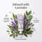 AROMAS ARTESANALES DE ANTIGUA Somerset White Jasmine Body Cream (130 ml)