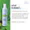 Milk Shake No Frizz Allowed Perfecting Shampoo (300 ml)