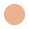 2N1 Desert Beige