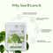 TNW The Natural Wash Calm Essence Cica Face Sheet Mask (20 g)