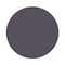 061 Matte Grey