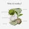 CLAYCO. Purifying Matcha Clay Mask 50ml