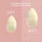 Daily Life Forever52 A Skin-Like Blend 3 Sided Sponge MSP006