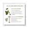 Saturn by GHC Jade Roller & Gua Sha Face & Neck Massage Kit
