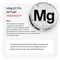 YourHappyLife Magnesium 5X Pro 5 for Sleep Recovery & Stress Relief (60 capsules)