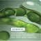 Biolage Colorlast Conditioner (98g)