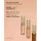 Dolce&Gabbana Everlast Concealer - 17 Medium (11 ml)